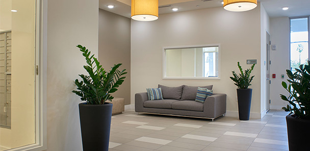 Lobby-entrance area with sofa, plants, and contemporary lighting.